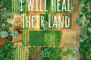 I will heal their land een boek van Berthine Heederik