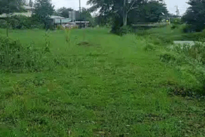 Een overview van wat tot nu toe gedaan is op de modeltuinen in Suriname